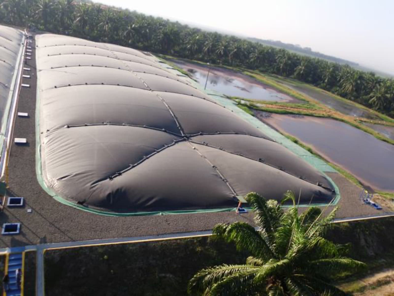 Grupo Olmeca Palm Oil Waste-to-Energy project site