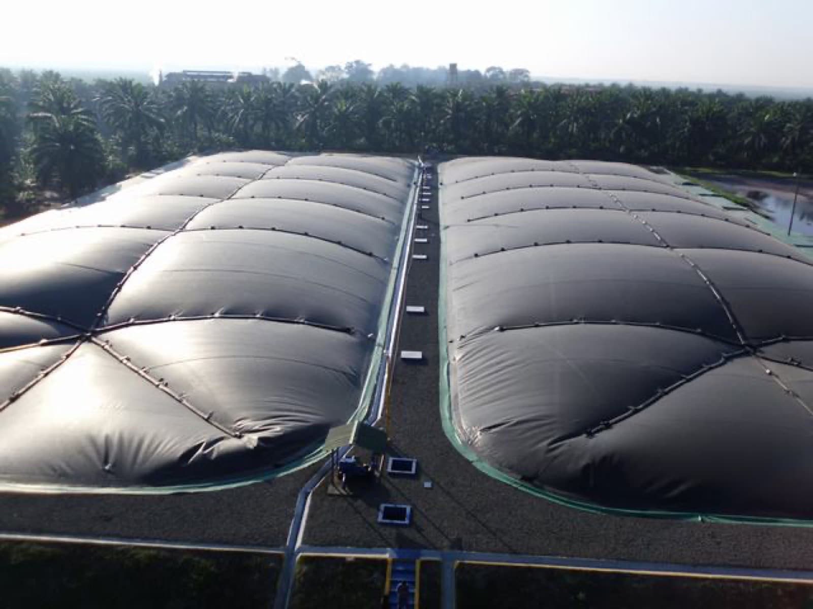 Grupo Olmeca Palm Oil Mill — Guatemala project site