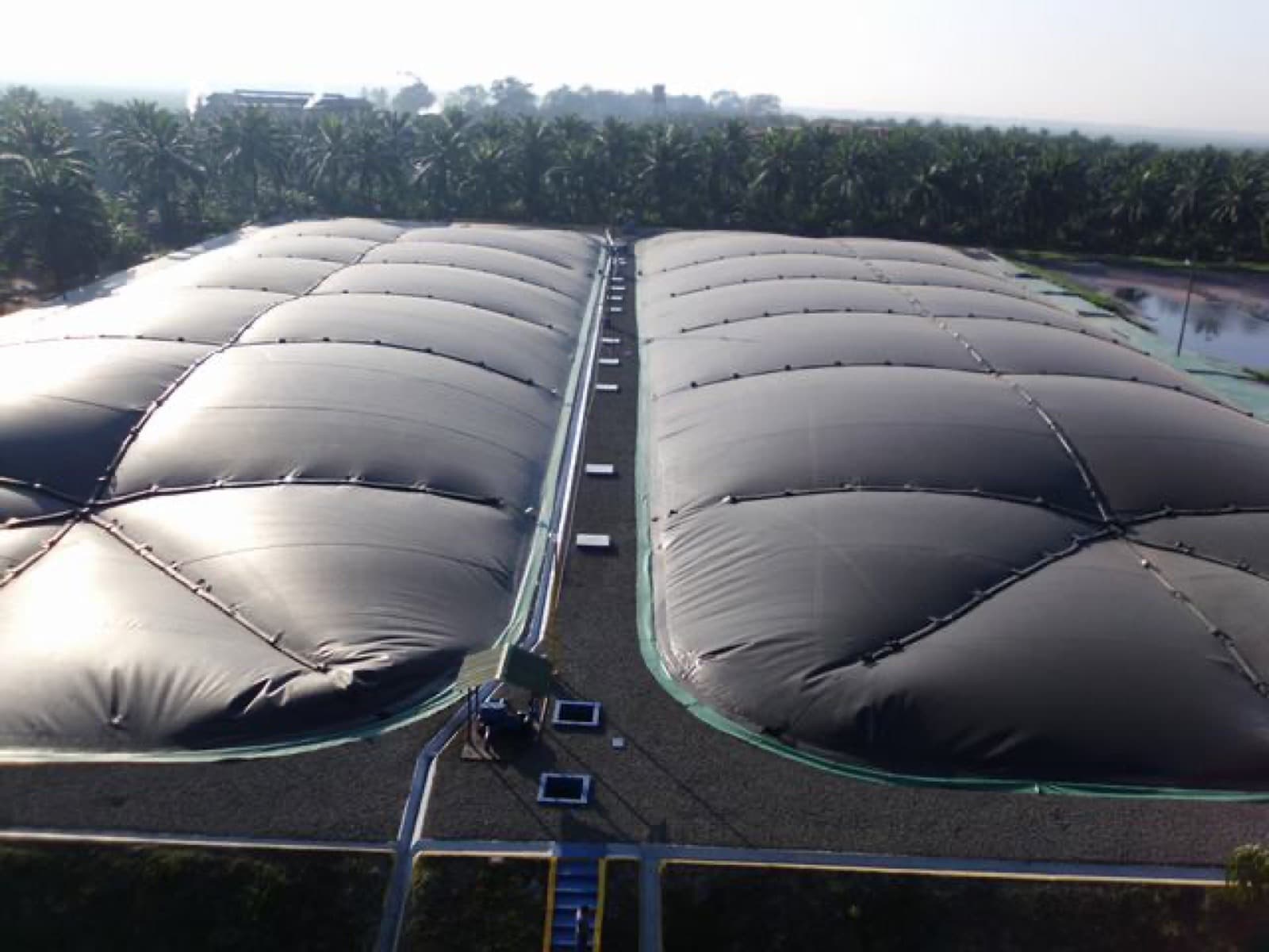 Grupo Hame Olmeca III: Palm Oil Mill Effluent as a Biogas Feedstock