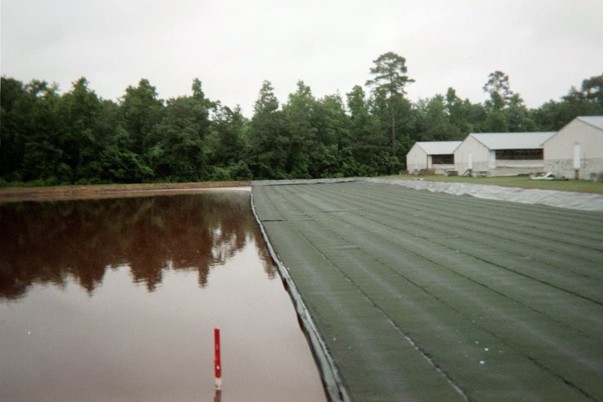 Cavenaugh Hog Farm, Wallace, NC