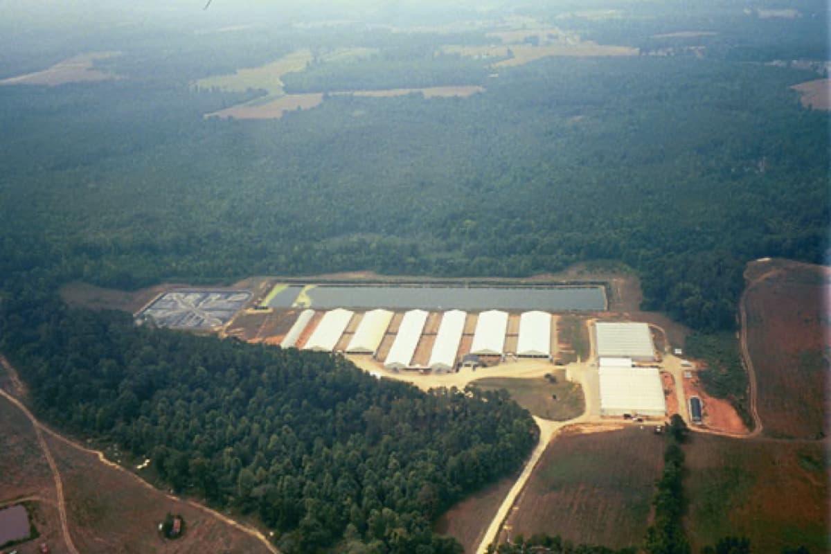 Lewiston Poultry, Biogas Capture & Odor Control