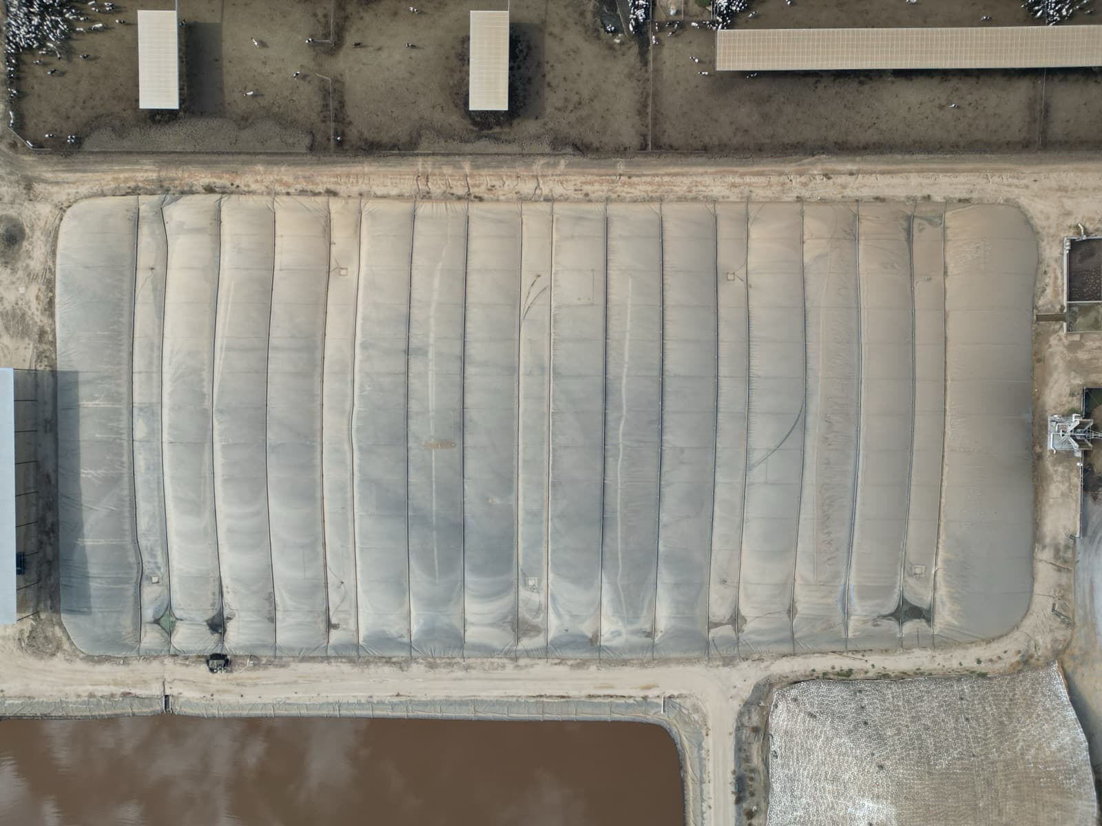 Beyond Dairy: How EFI's 2025-2026 Pipeline Reflects a Diversifying Biogas Market