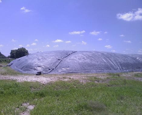 El Capricho Dairy Farm Biodigester