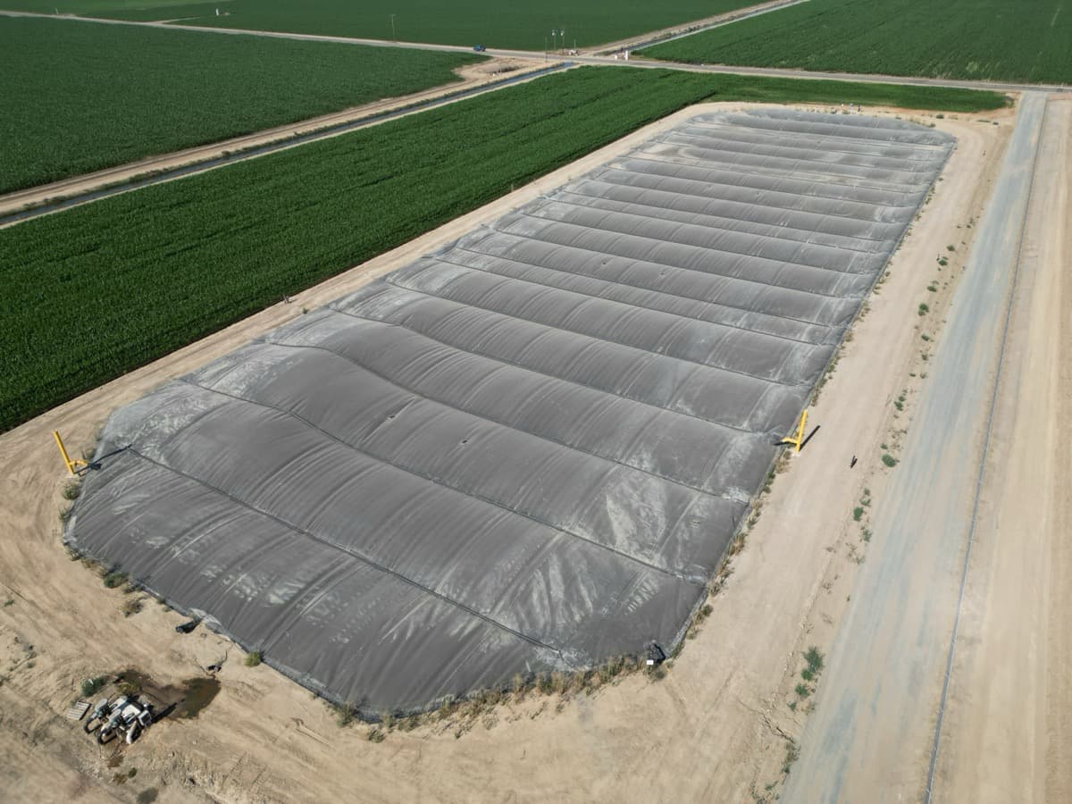 Swine Farm Environmental Technology: Modern Waste Management Solutions