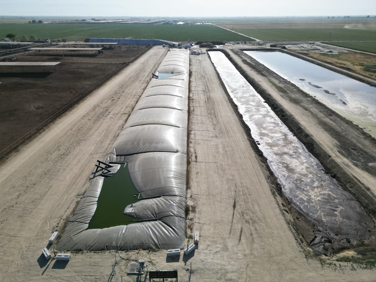 How Dairy Farms Earn Carbon Credits from Methane Destruction