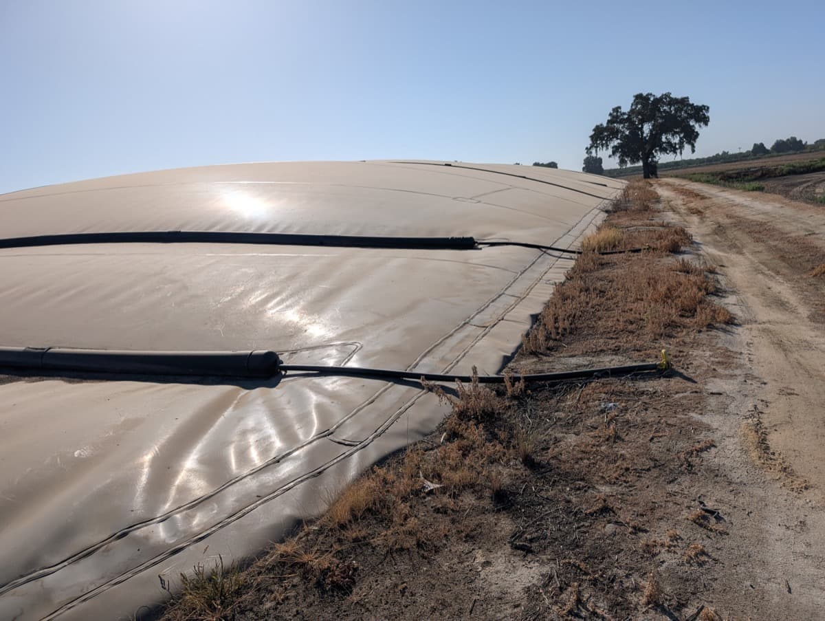 Jacobus DeGroote Dairy — California