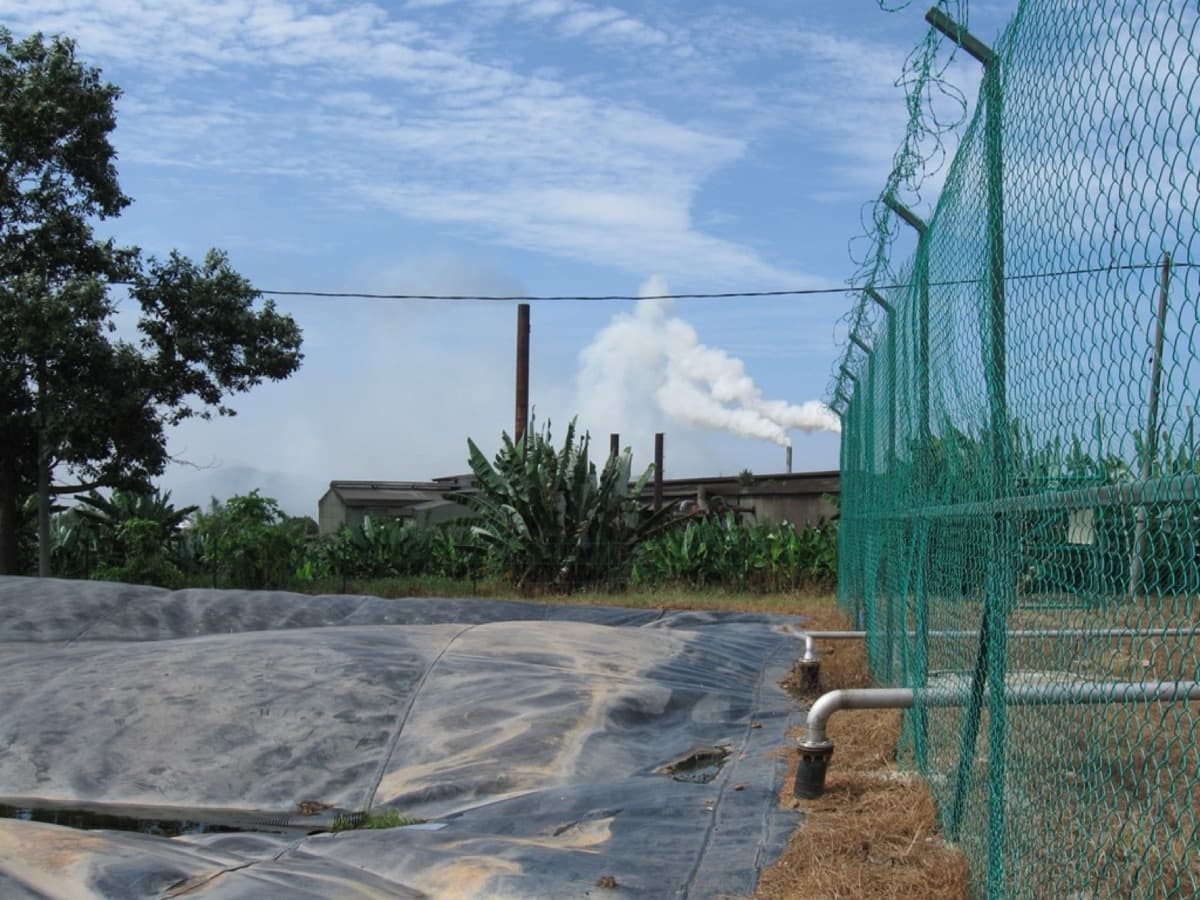 Lessons from 300+ International Biogas Projects: What Mexico, Central America, and the Caribbean Taught EFI