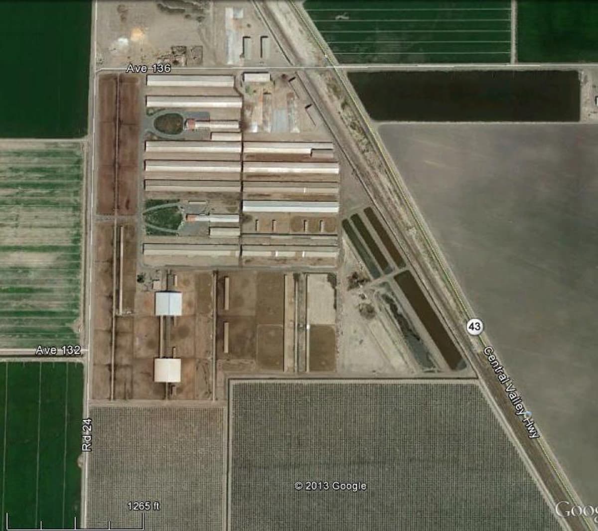Pacific Rim Dairy | California