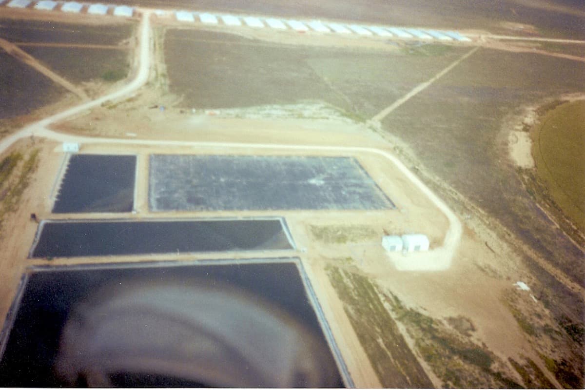 Prestage Farms