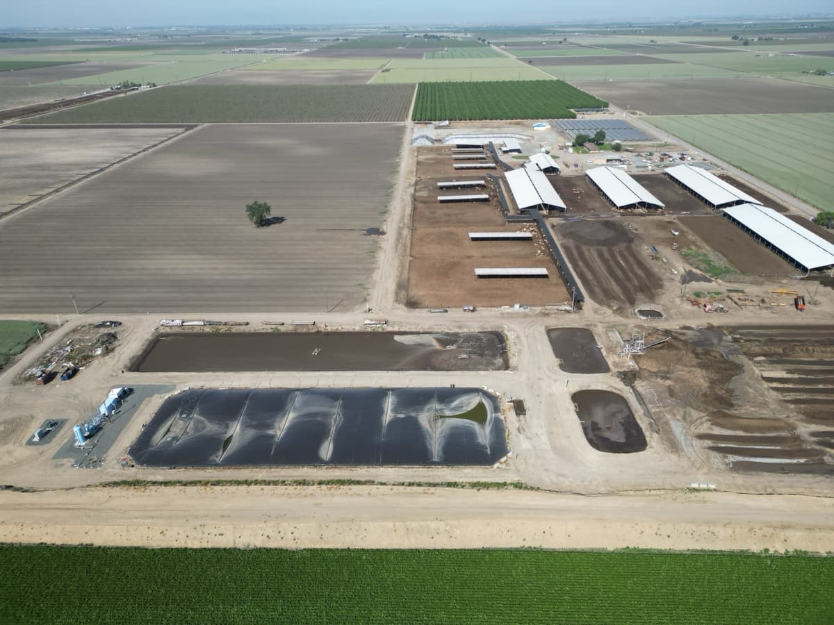 Poultry Wastewater Treatment: Lagoon Cover & Liner Solutions