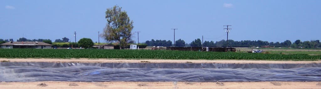 Sierra Cattle Company | Lindsay, CA